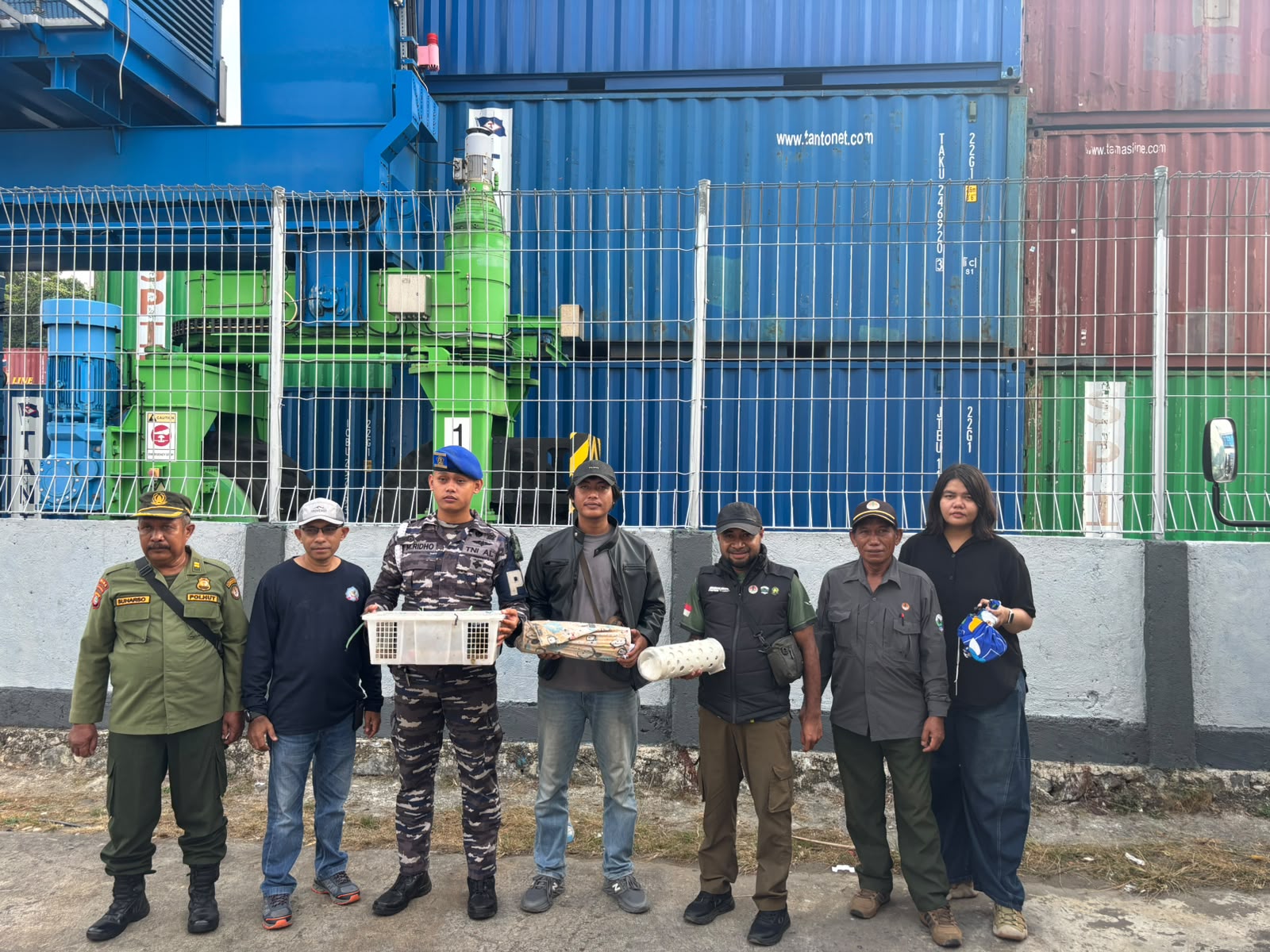 Tim Gabungan Kodaeral XIV Gagalkan Penyelundupan Satwa Dilindungi di KM Dobonsolo